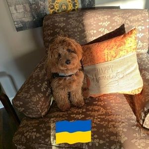 Meet your Posher, Lynne